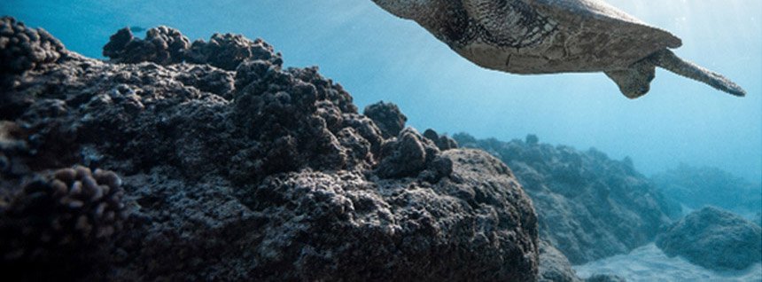 HP 시리즈 5 프로 524pn WUXGA 모니터