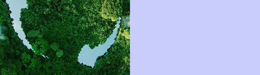 HP 컬러 레이저젯 프로 3203dw 프린터