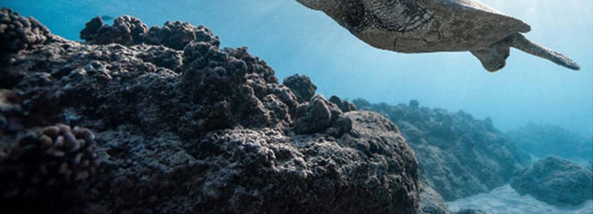 HP 시리즈 5 프로 527pu QHD 모니터